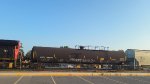 CBTX 788245